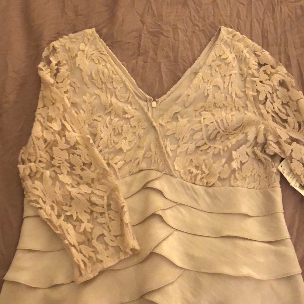 MOB Lace and taffeta Cocktail Dress